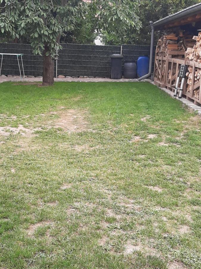 Ferienhaus Flotte Biene In Buggow Rubkow Экстерьер фото